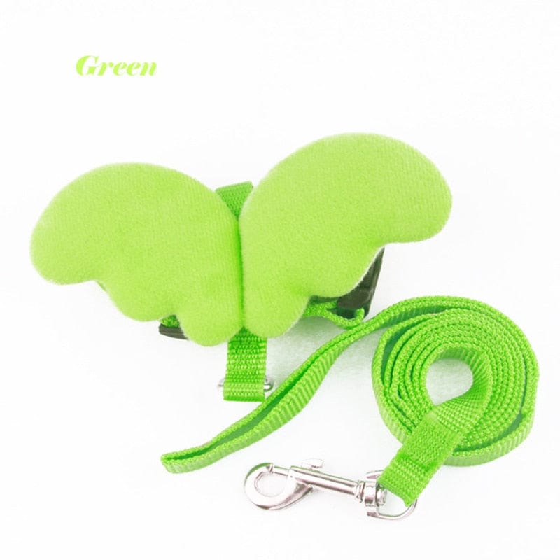 Winged cat harness and leash combo