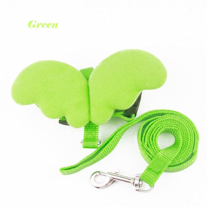 Winged cat harness and leash combo
