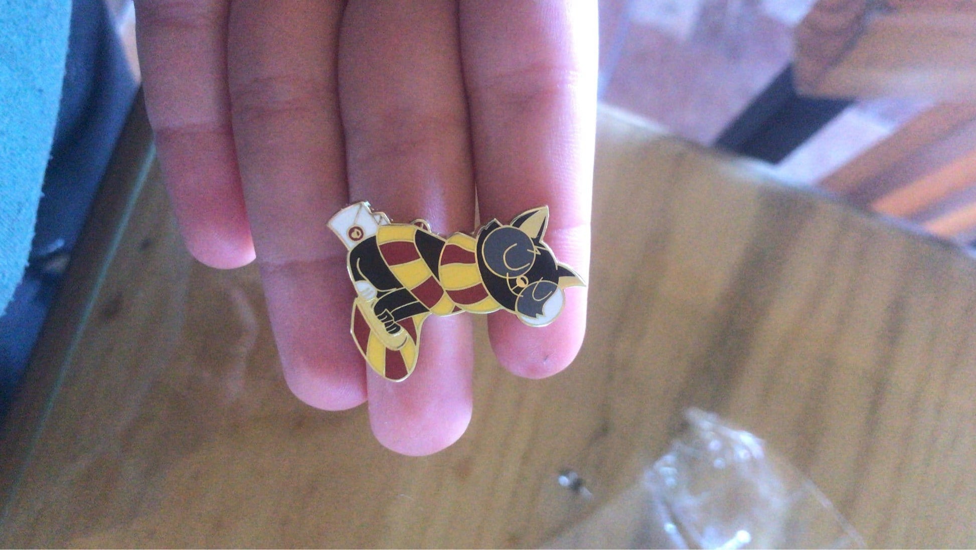 Harry Potter-inspired cat gift pin