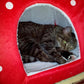 Cozy foldable cat hideaway in strawberry cave shape