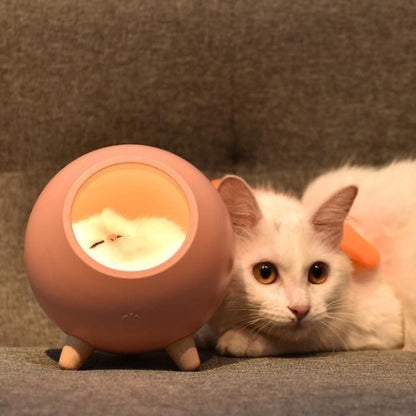 Creative Little Sleeping Cat Pet House Night Light  Cute Cat House Bluetooth Speaker Night Light Touch Dimming LED Baby Kids Bedside Sleep Lamps Bedroom Home Decor Holiday Gift