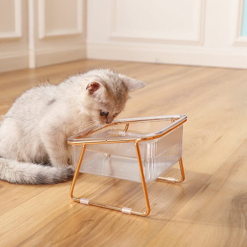 Fashionable non-slip clear cat feeding bowls by designer cat food bowl transparent