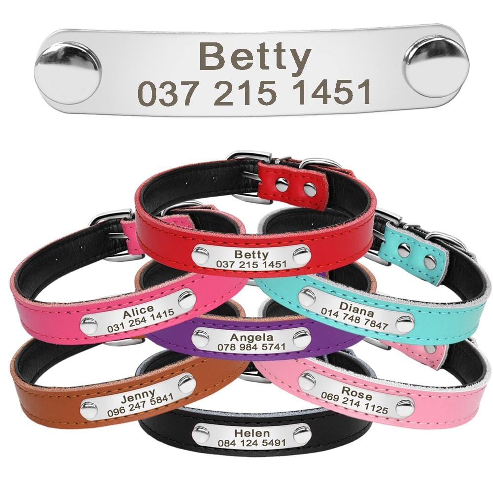 Engraved Cat Collars