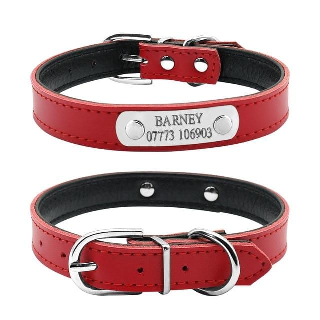 best Personalized Engraved Cat Collar