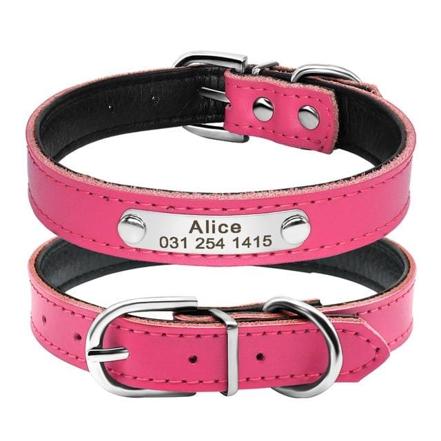 Engraved Stainless Steel pet collar 