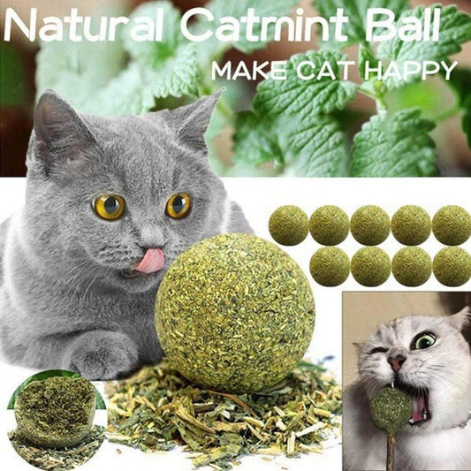Pet Catnip Toys Edible Catnip Ball Safety Healthy Cat Mint Clean Teeth