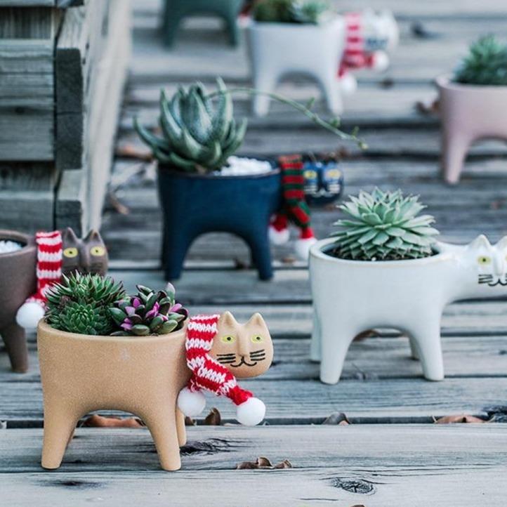 Cute cat-themed ceramic flower pots