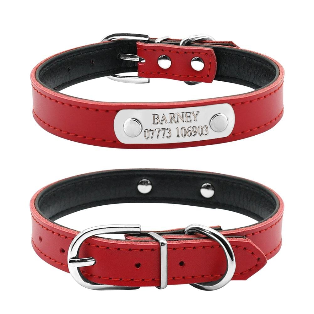 Best personalized clearance dog collars