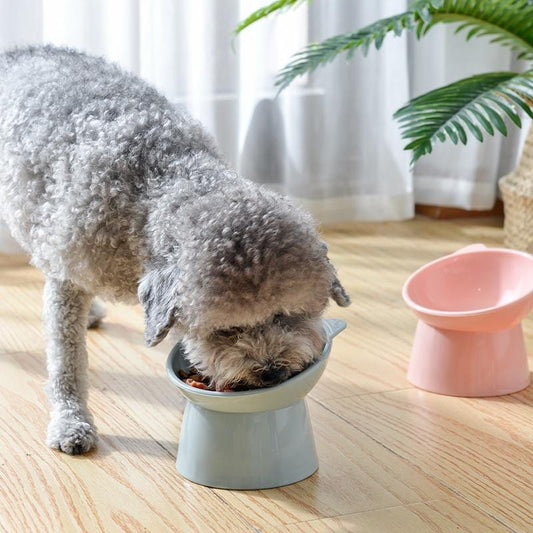 Elevated water bowl for cats with a smooth design
