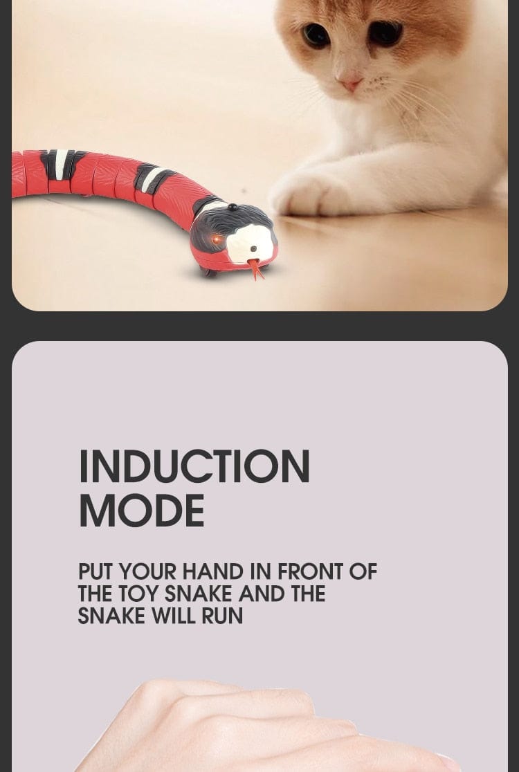 Snake-shaped cat toy with interactive features