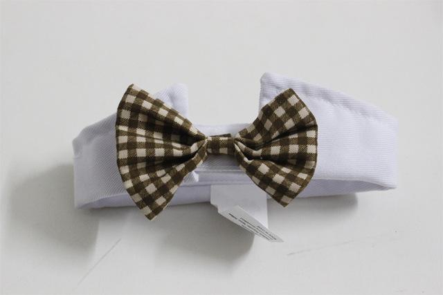 black bow tie, bow tie for pet , bow tie for cat