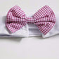 Cat Striped Bow Tie Collar Pet Adjustable Neck Tie White Collar for Tuxedo