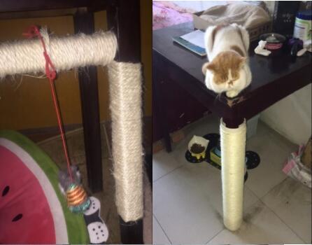 rope for cat scratching post Sisal Rope,  Cat Scratchers & Scratching Posts