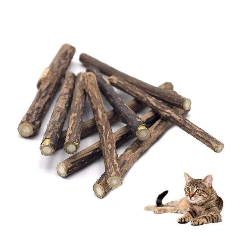 Catnip Cat Molar Toothpaste Sticks Cleaning Teeth Pet Supplies