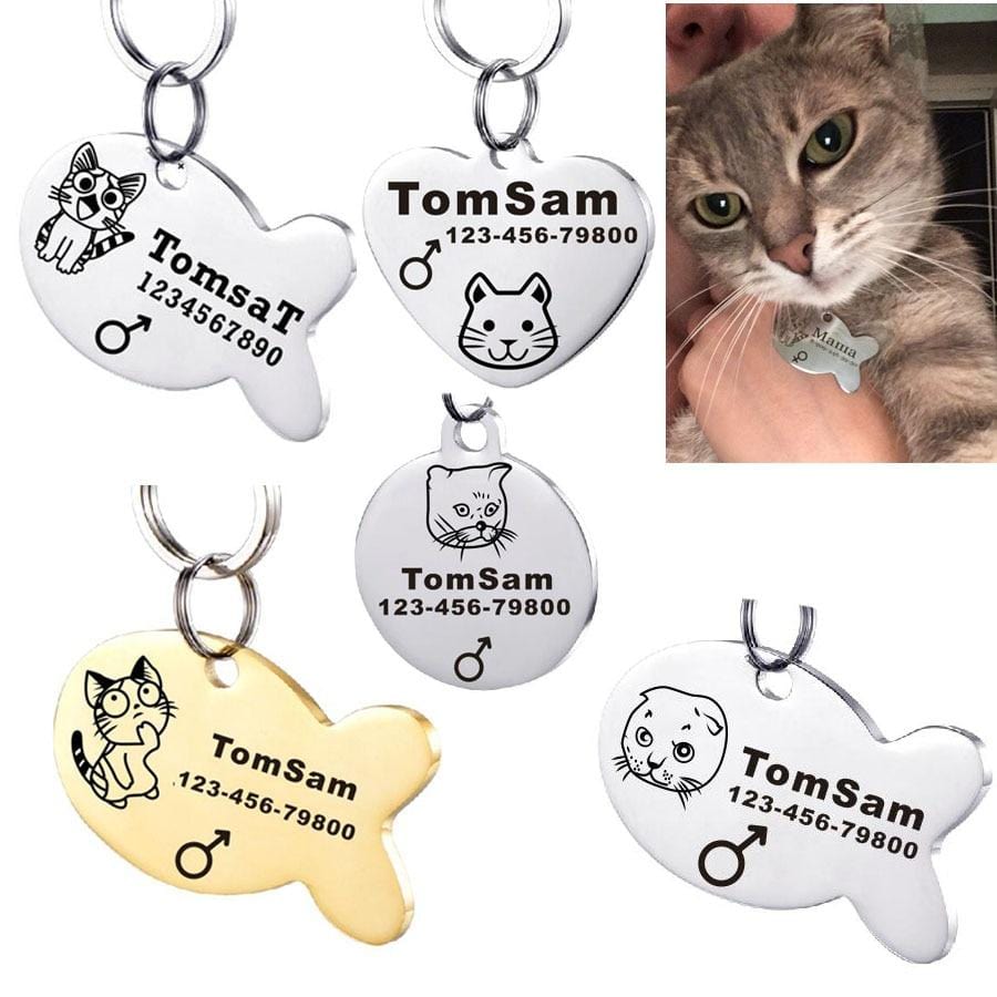Collars & Personalized Engraved Cat Id, Name Tags - Order Today