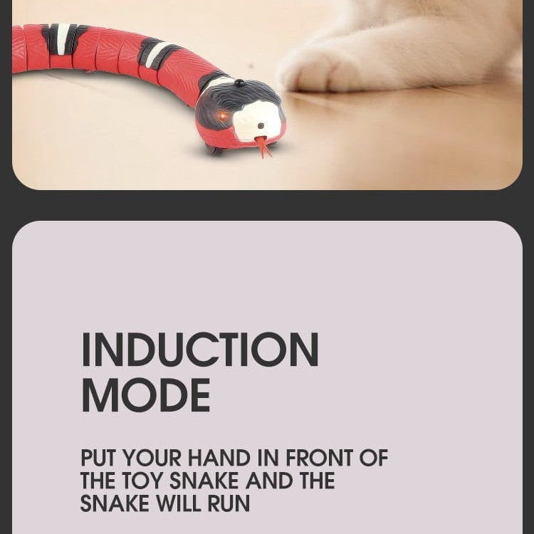 Snake-shaped cat toy with interactive features